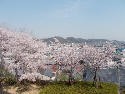 のじぎく３階から風景.jpg