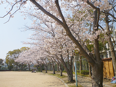 伊川谷病院07-2.jpg